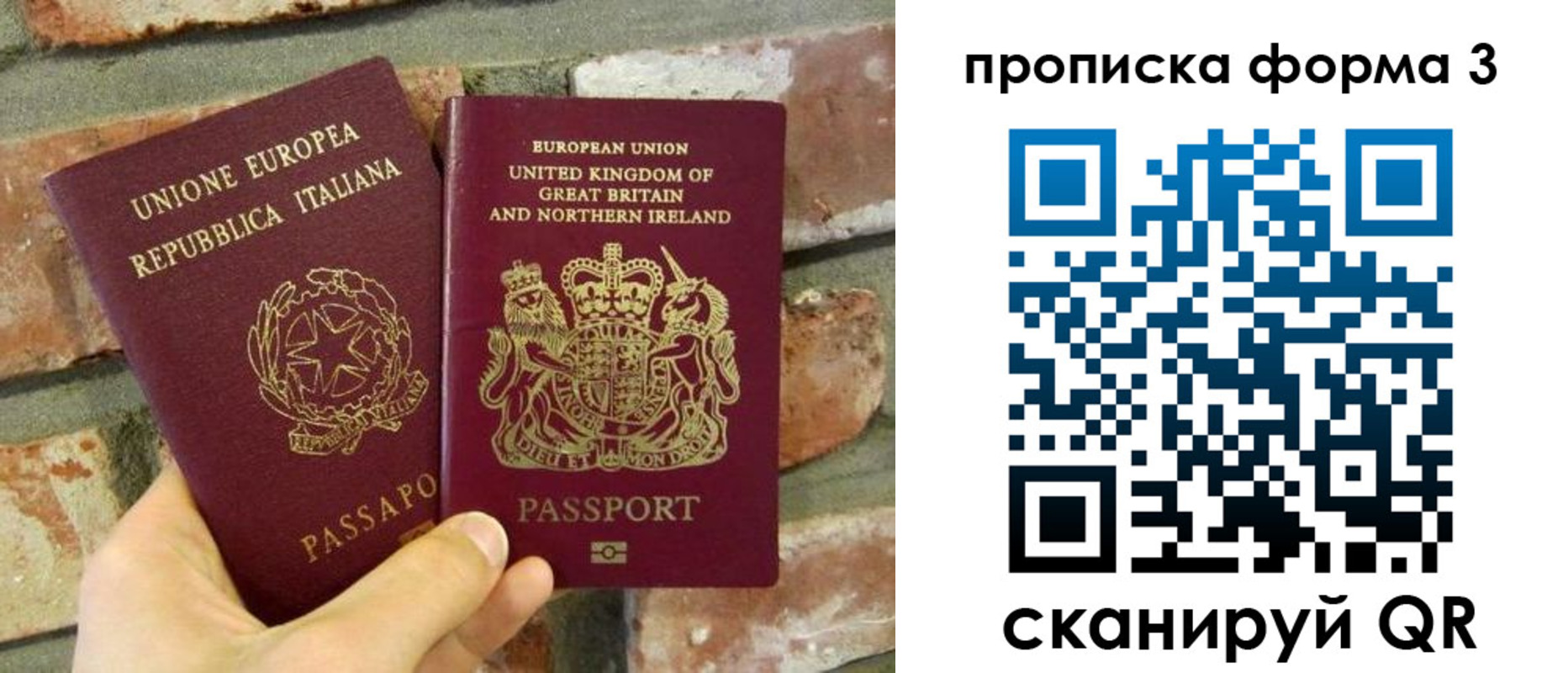 прописка для школы в Химках